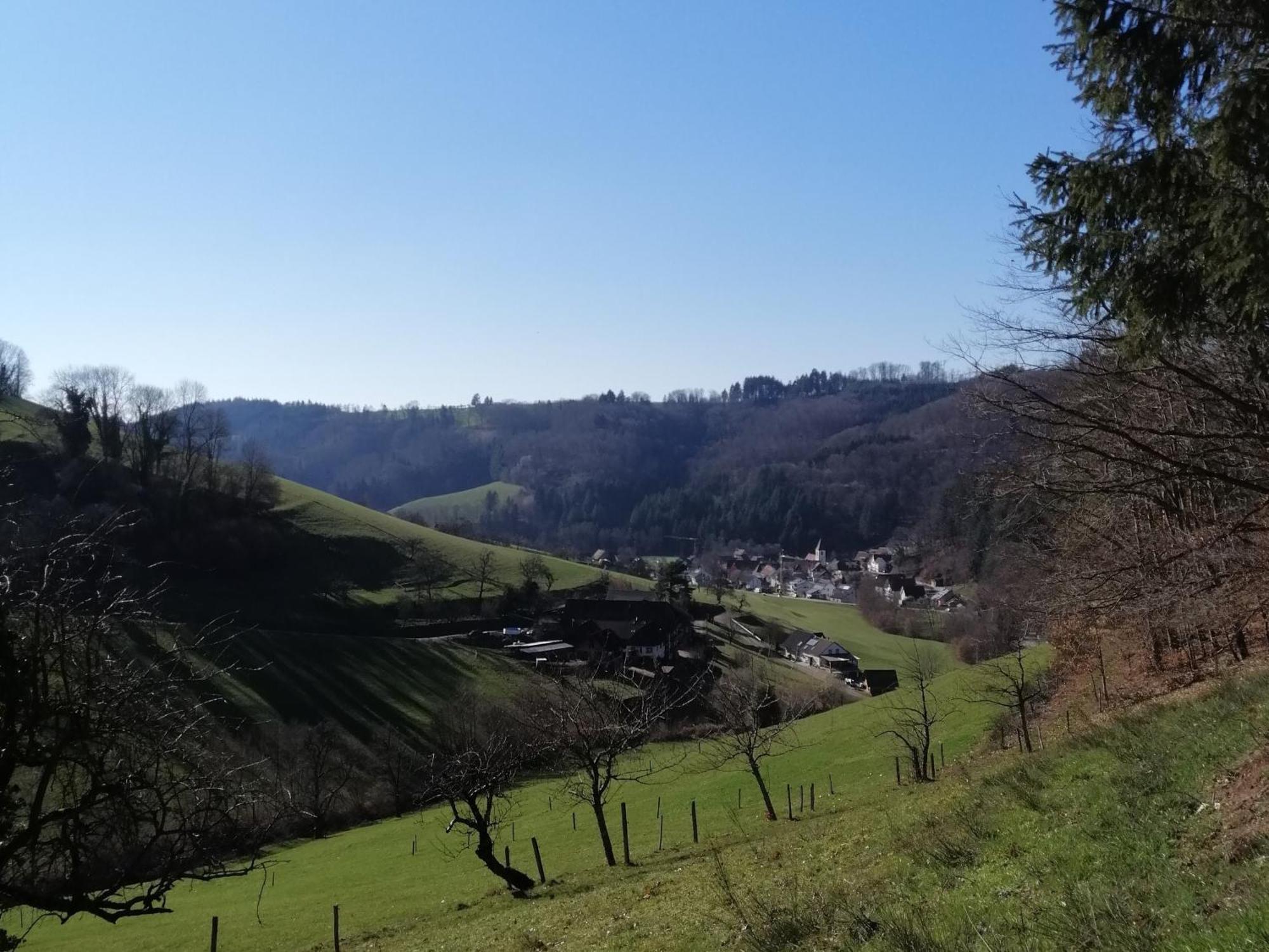 Ferienwohnung Am Spielberg Freiamt Buitenkant foto